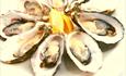 Close up of some cooked oysters displayed with a cut of fresh lemon in the middle