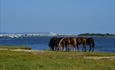 View of Mudeford and The Idle of Wight image by: Andrew Millard Photography